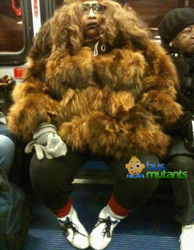 Bigfoot one the bus